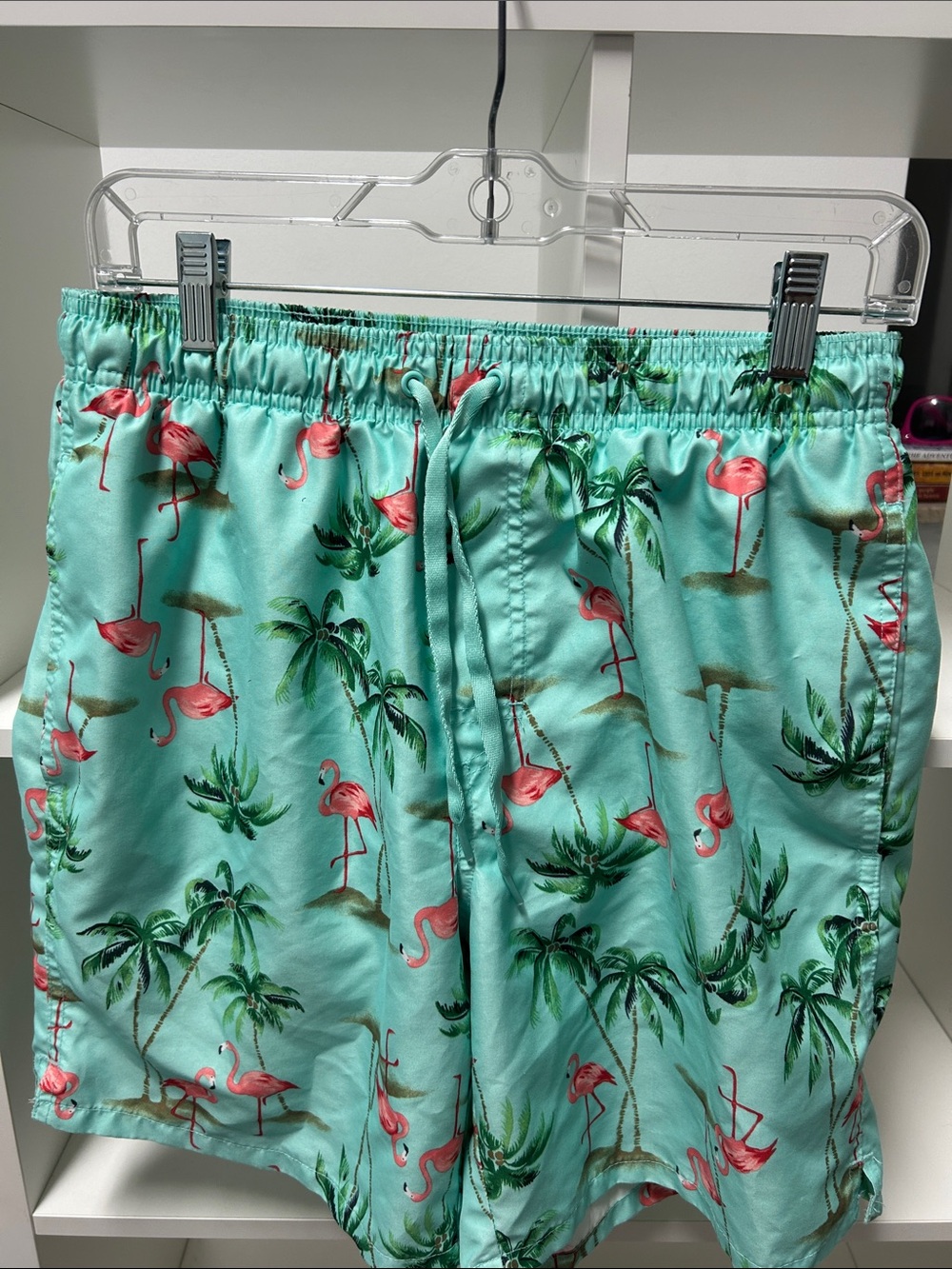 Old Navy Mint Green Flamingo Print Men's Swim/Beach Shorts